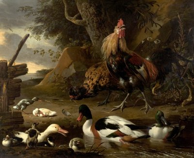 Two Fowls and Ducks on a Pond by Melchior de Hondecoeter